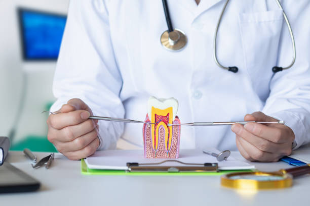 Best Urgent Tooth Repair  in Pojoaque, NM